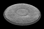 8" Microfibre Multipurpose Cleaning Pad
