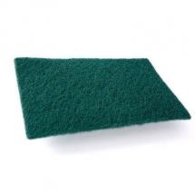 Caterers Green Scourer