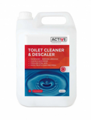 Toilet Cleaning